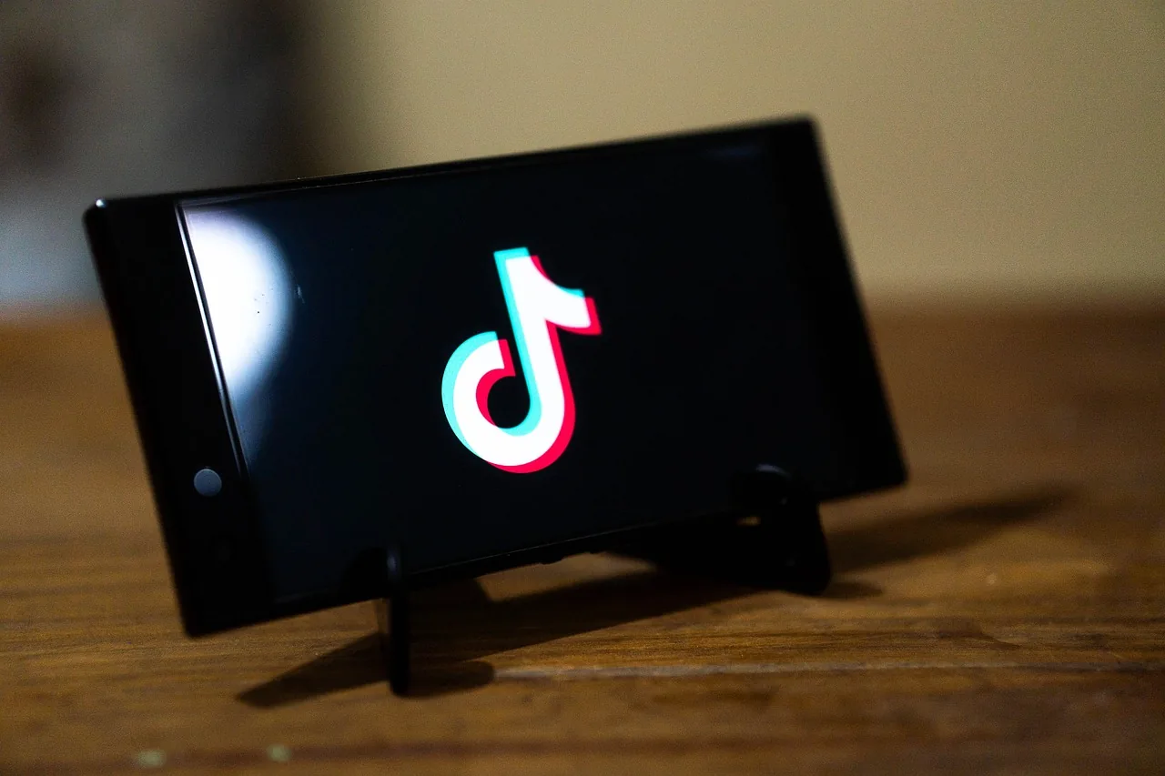 The winners of the TikTok Startup Valley contest will be announced on January 16