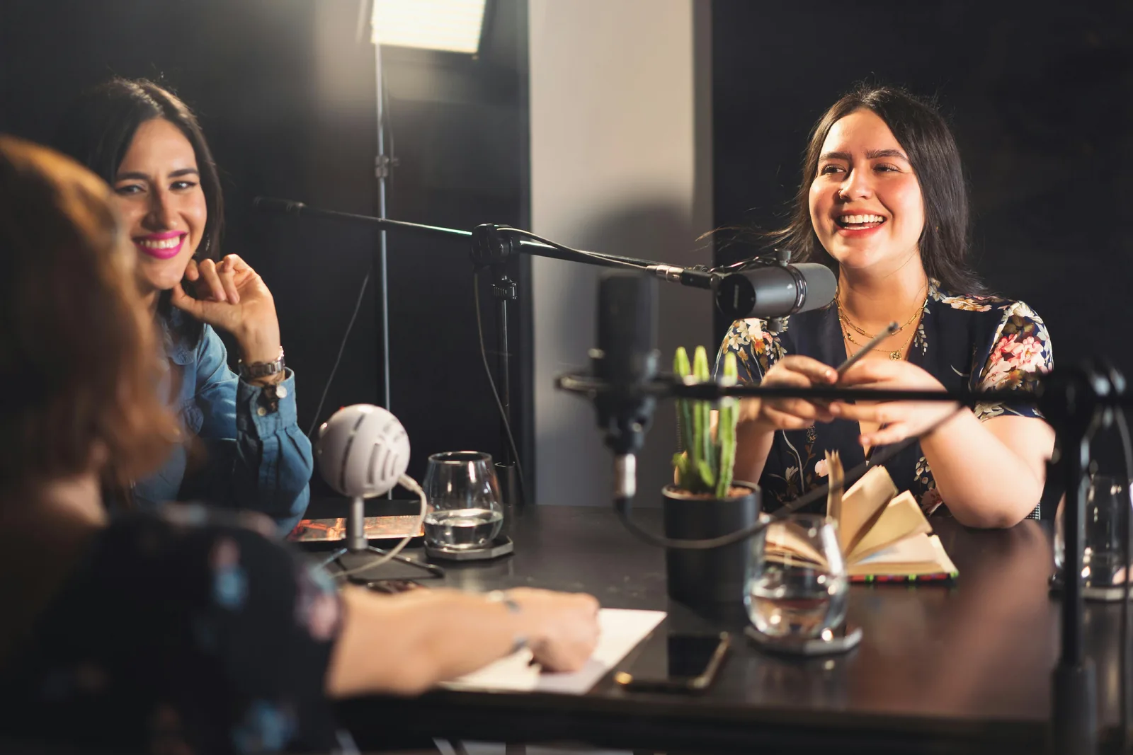 What to listen to. 9 new IT podcasts for your attention