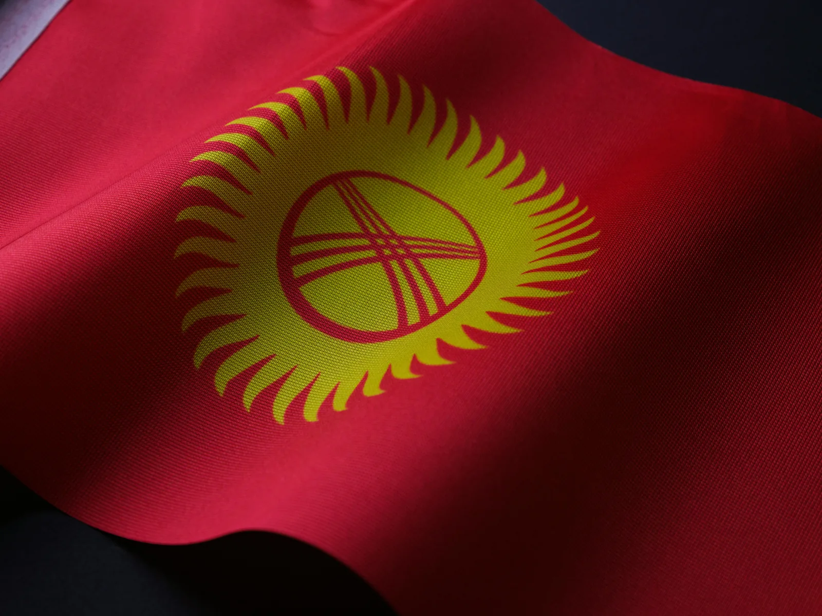Kyrgyzstan's project has entered the top 20 best digital initiatives in the world