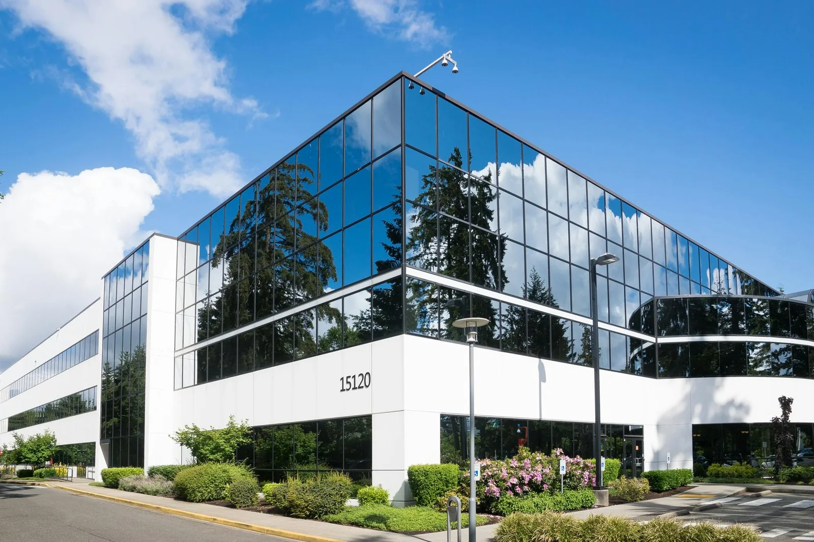 Обзор лучших IT-компаний 2024: от Microsoft до Deloitte