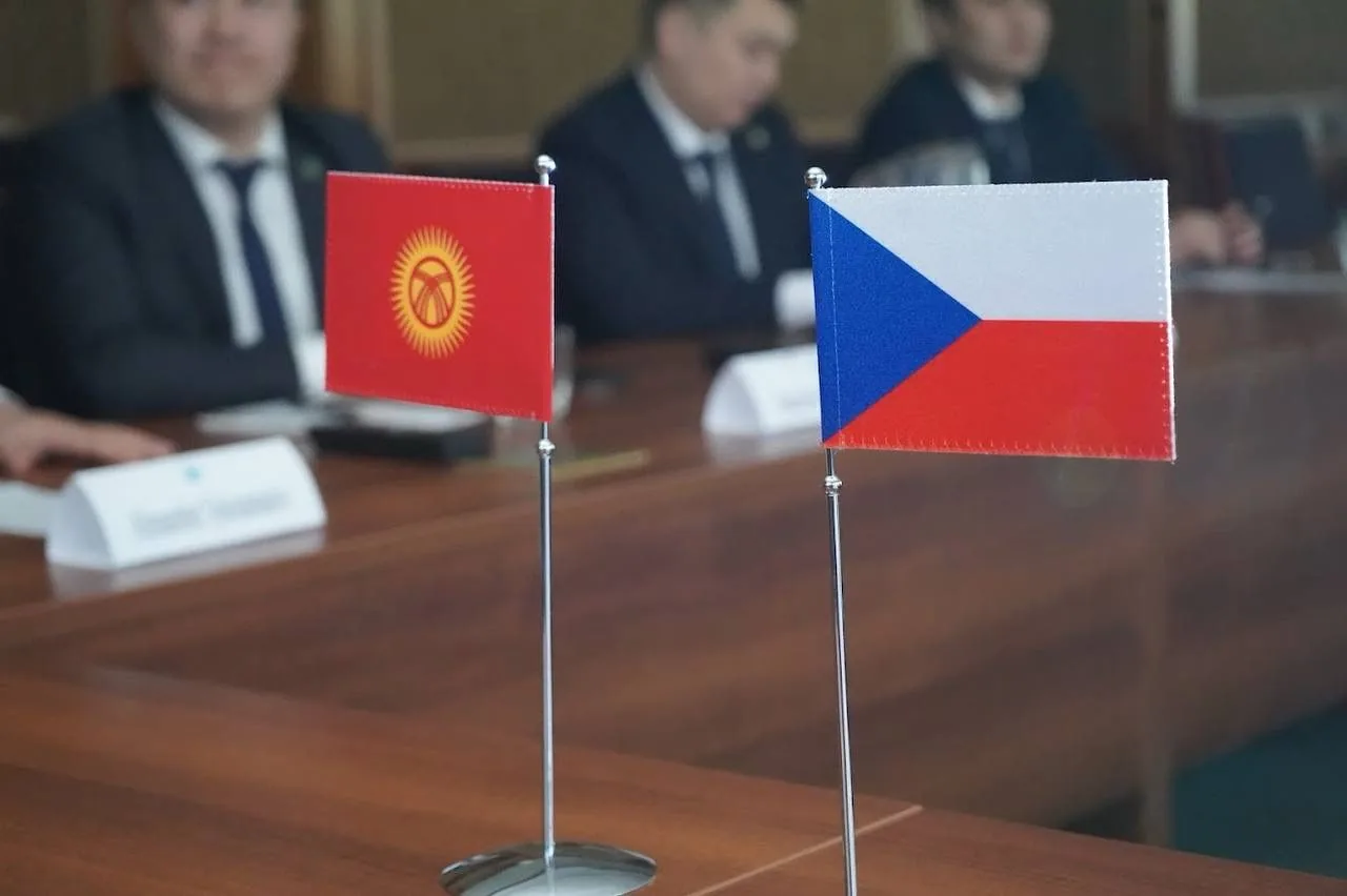 Кыргызстан внедряет практики Эстонии и Чехии в цифровизации налоговой системы