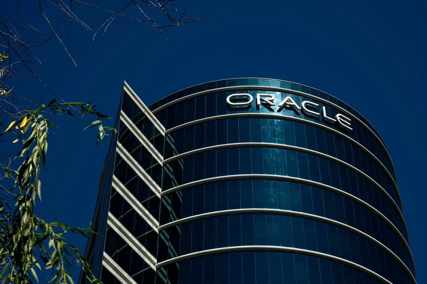 Удаленка в IT: 8 вакансий от Microsoft, OpenAI, Netflix и других компаний