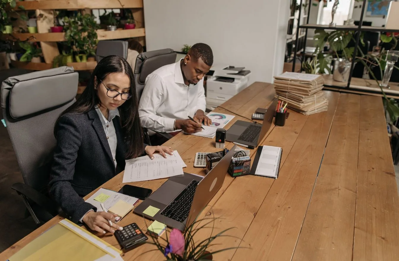 Career Digest: Which Companies Are Looking for IT Specialists