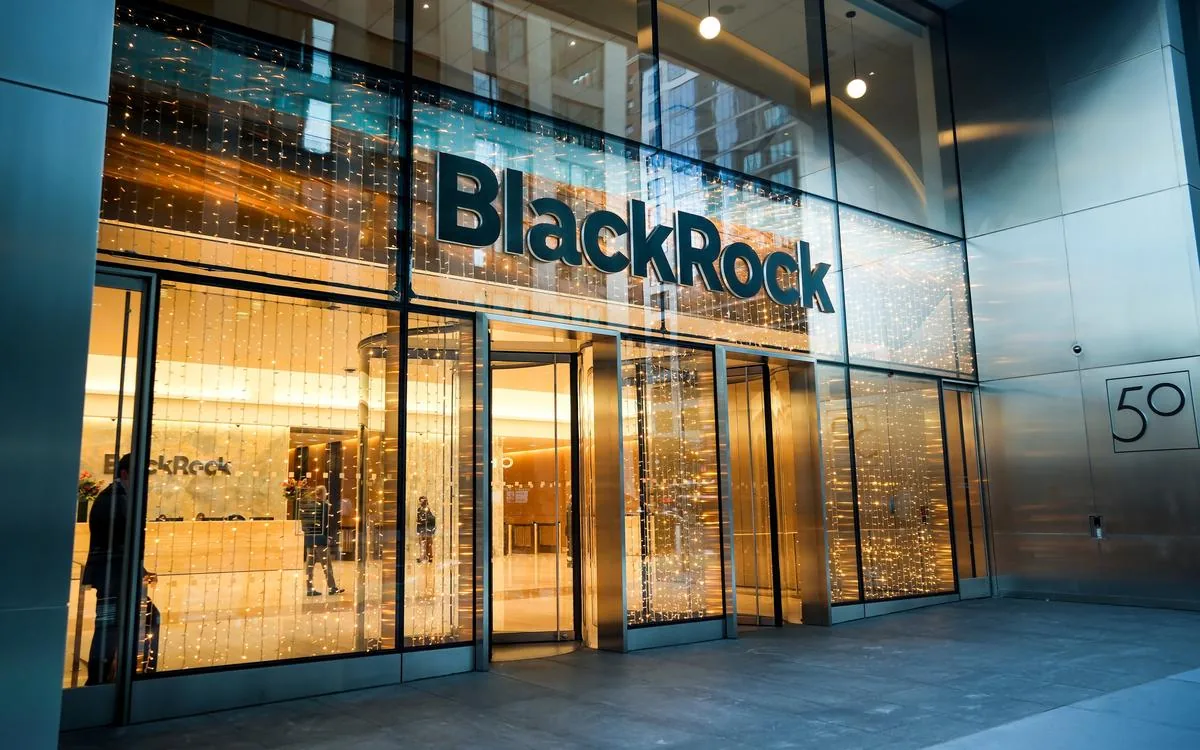 Google, Tesla, BlackRock и МВФ: куда подать заявку на стажировку осенью 2026 года